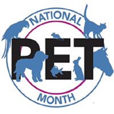 National Pet Month – Your Pet, Your Home…Your Responsibility